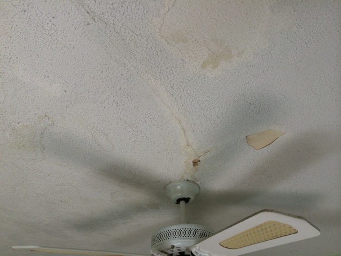 Water Damaged Ceiling