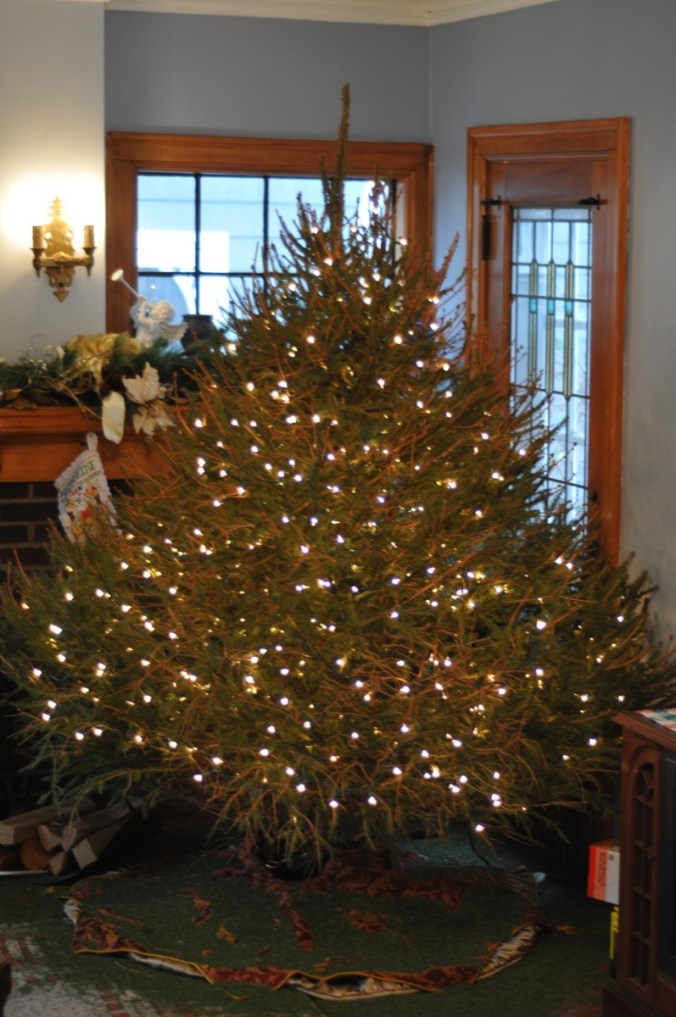 After we took the lights off, there were literally no needles left on the tree.